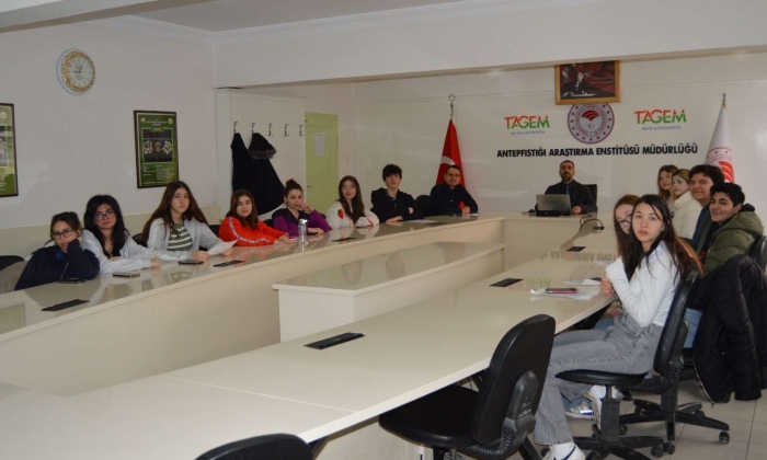 GKV Öğrencileri Antep Fıstığına El Attı