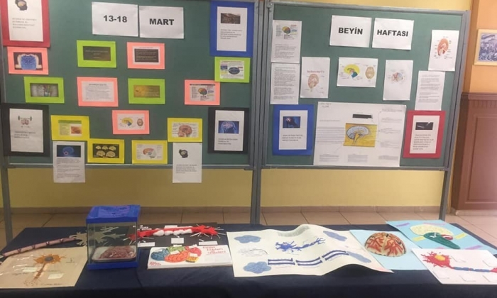 Seçkinli öğrenciler dünya beyin haftasını kutladı