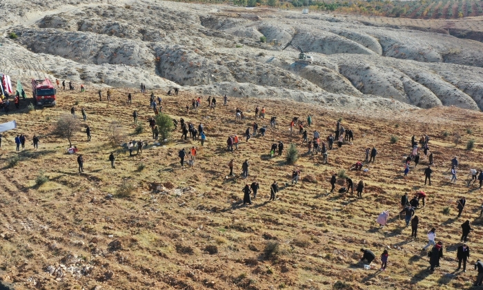 Her öğretmen için 1 fidan