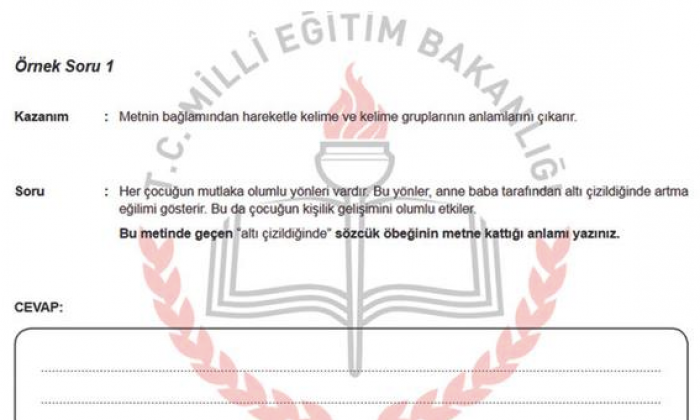 TEOG için hazırlanan açık uçlu Türkçe örneği