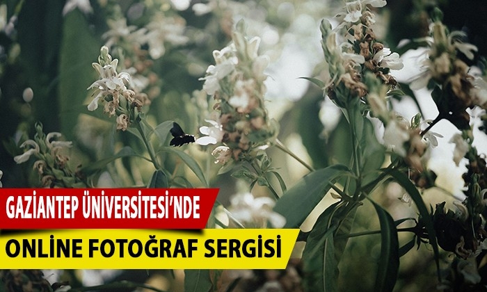 GAÜN’de online fotoğraf sergisi