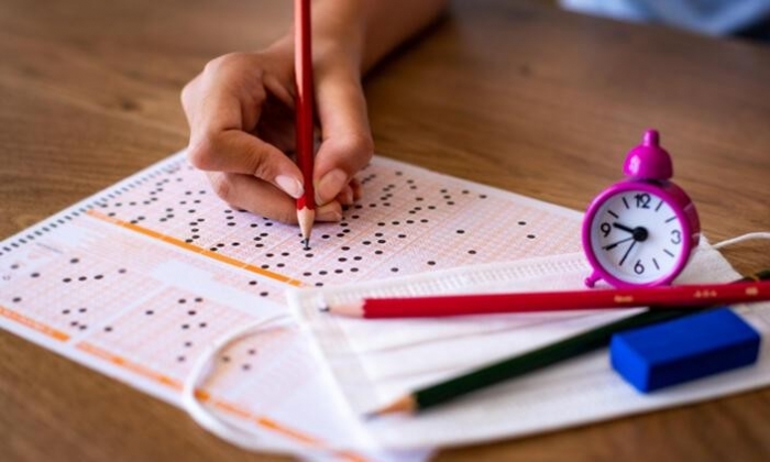 İngilizce e-YDS giriş belgeleri erişime açıldı