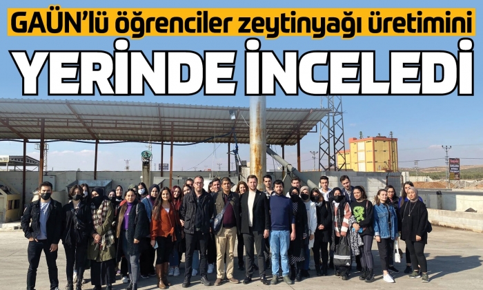 GAÜN’lü öğrenciler zeytinyağı üretimini yerinde inceledi