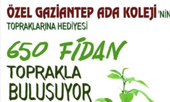 Adalı öğrencilerden doğaya 650 adet fidan
