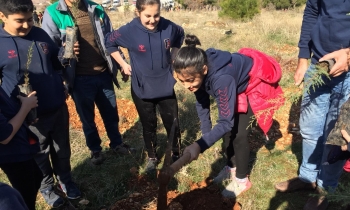 Adalılar ağaç dikti