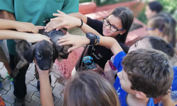 Özel Çağdaş Bilgi Okulları Öğrencileri Hayvan Barınağını ziyaret etti
