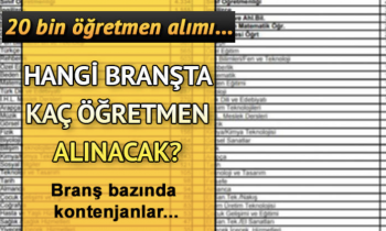Sözleşmeli öğretmen alımı branş bazında kontenjan dağılımı belli oldu