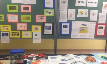 Seçkinli öğrenciler dünya beyin haftasını kutladı