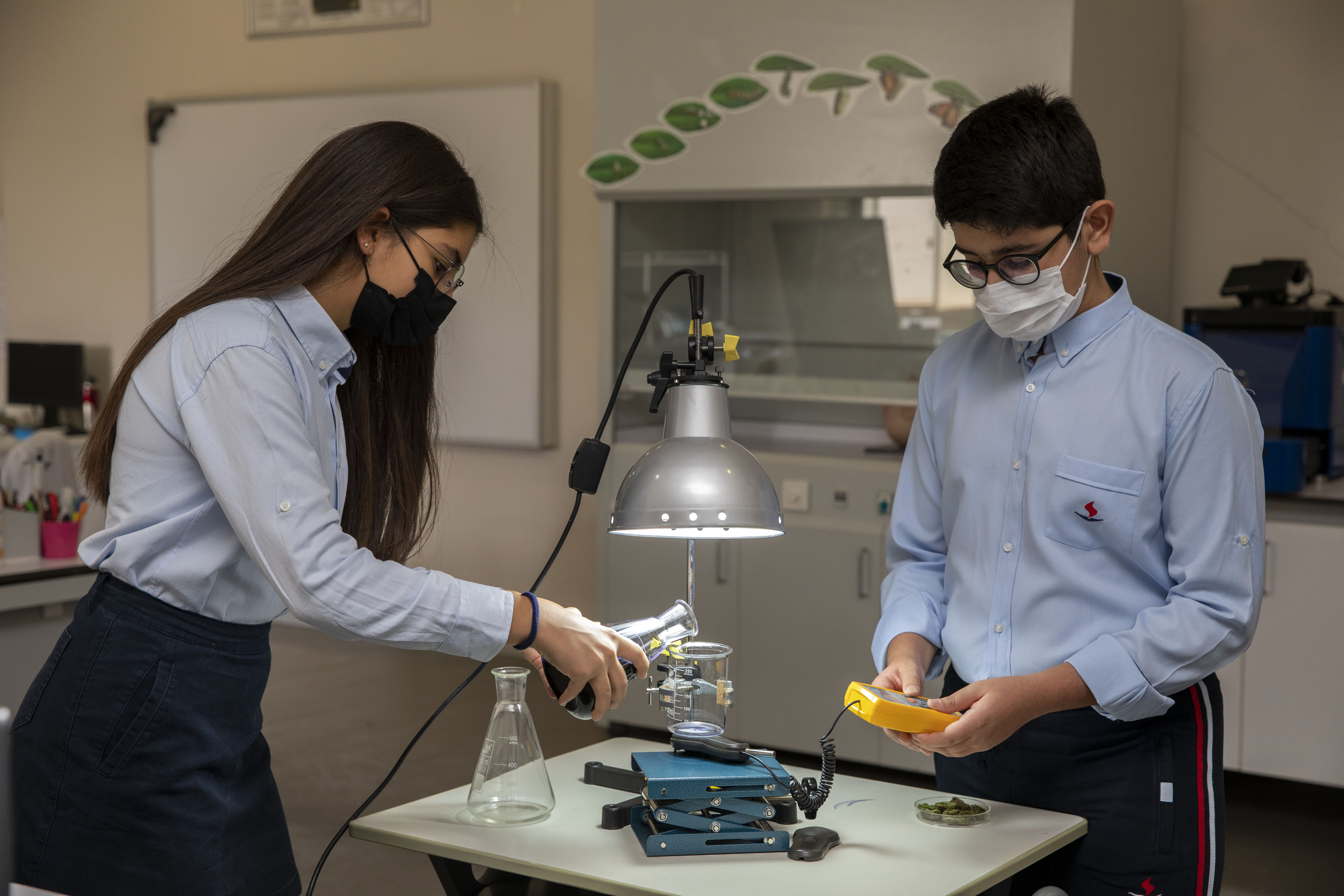 Asyalı: Gururluyuz!