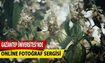 GAÜN’de online fotoğraf sergisi
