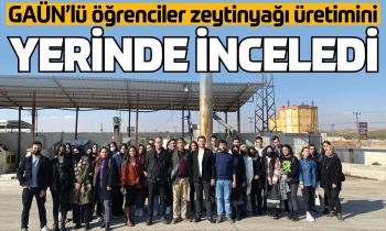 GAÜN’lü öğrenciler zeytinyağı üretimini yerinde inceledi